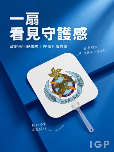 政府飛行服務隊
