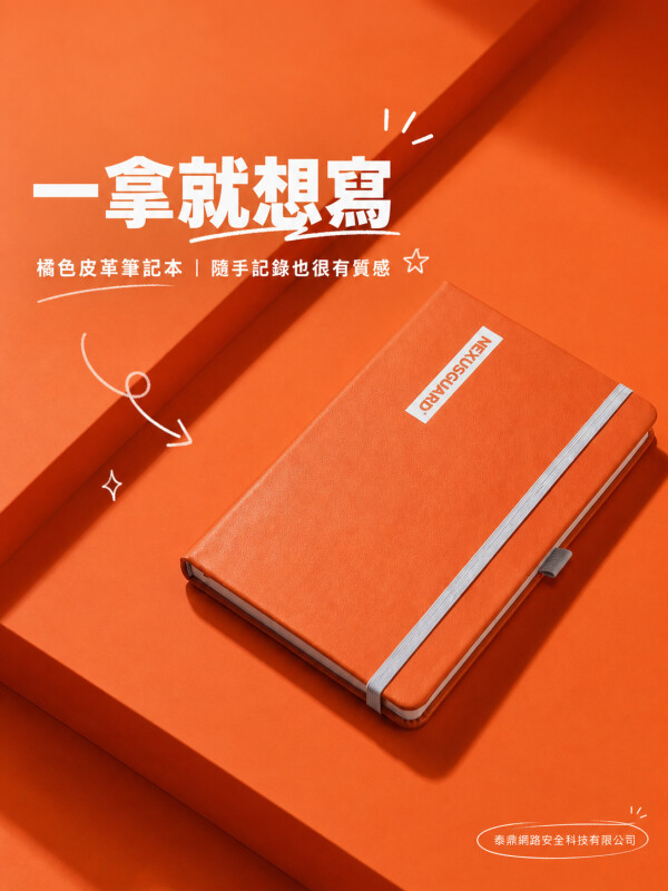 泰鼎網路安全科技有限公司