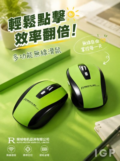 辉域电机亚洲有限公司